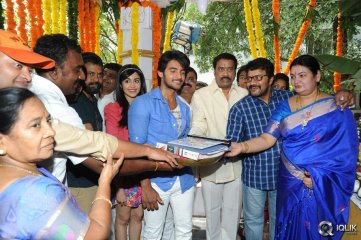 Garam Movie Opening Photos